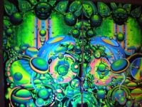 DSCN22851310892549