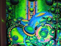 DSCN22861310892576