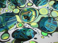 DSCN32731310894260