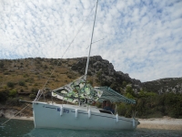 DSCN51561317150689